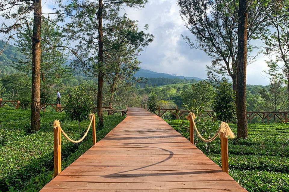 Tempat Wisata di Puncak Bogor untuk Keluarga dan Anak yang Populer