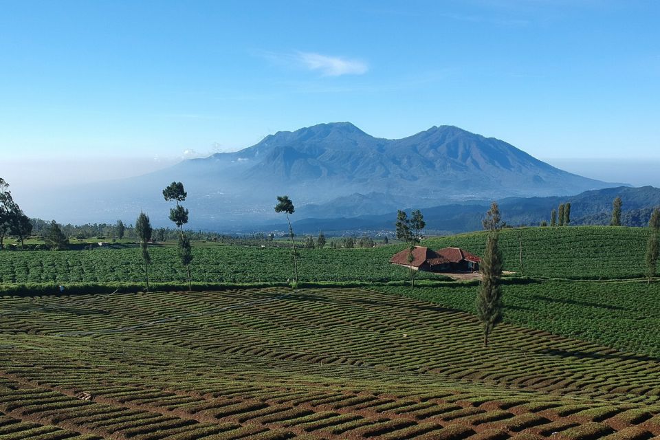 6. Batu, Jawa Timur