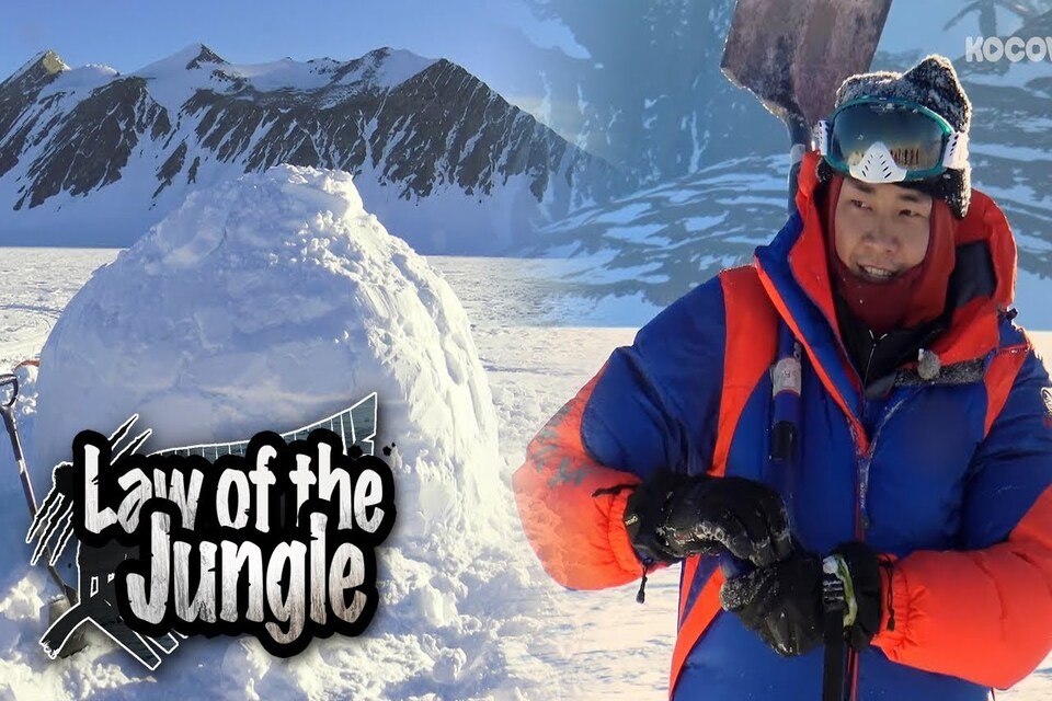 law of the jungle antartica kim young kwang