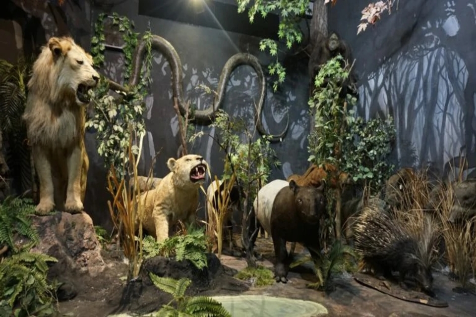 Museum Terbaik di Medan yang Wajib Dikunjungi