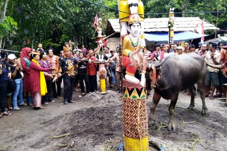 Contoh Tradisi Budaya yang Ada di Indonesia dan Penjelasannya Lengkap