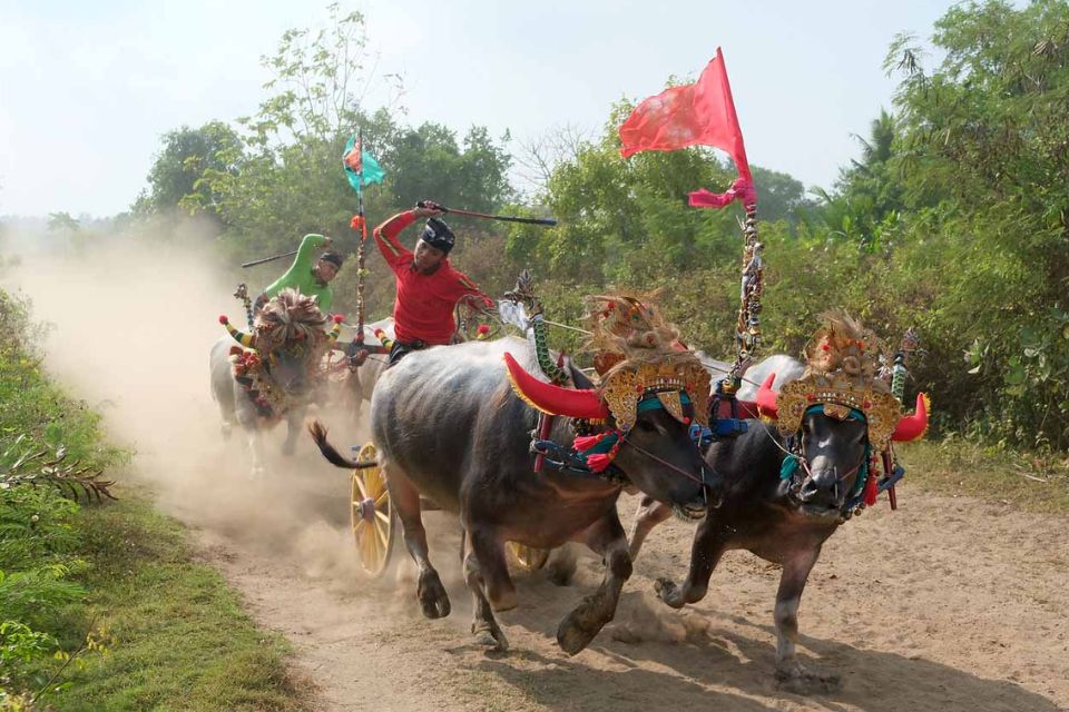 Contoh Tradisi Budaya yang Ada di Indonesia dan Penjelasannya Lengkap