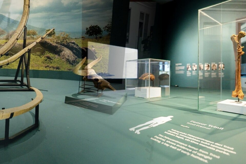 Museum Geologi - wisata musim hujan di bandung