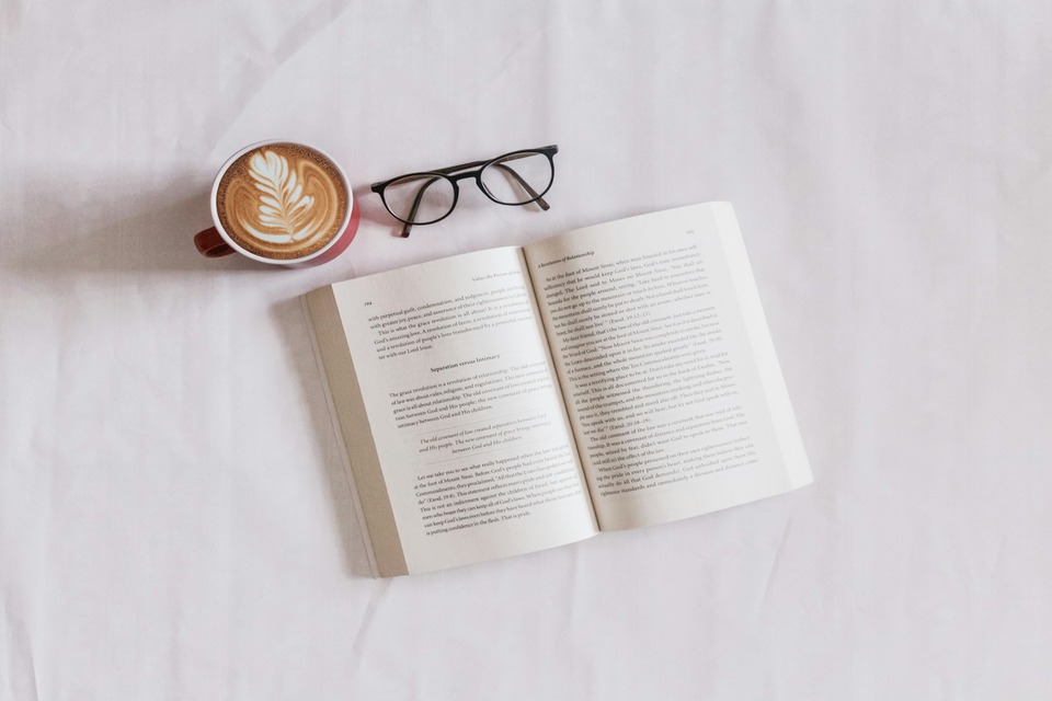 Novel