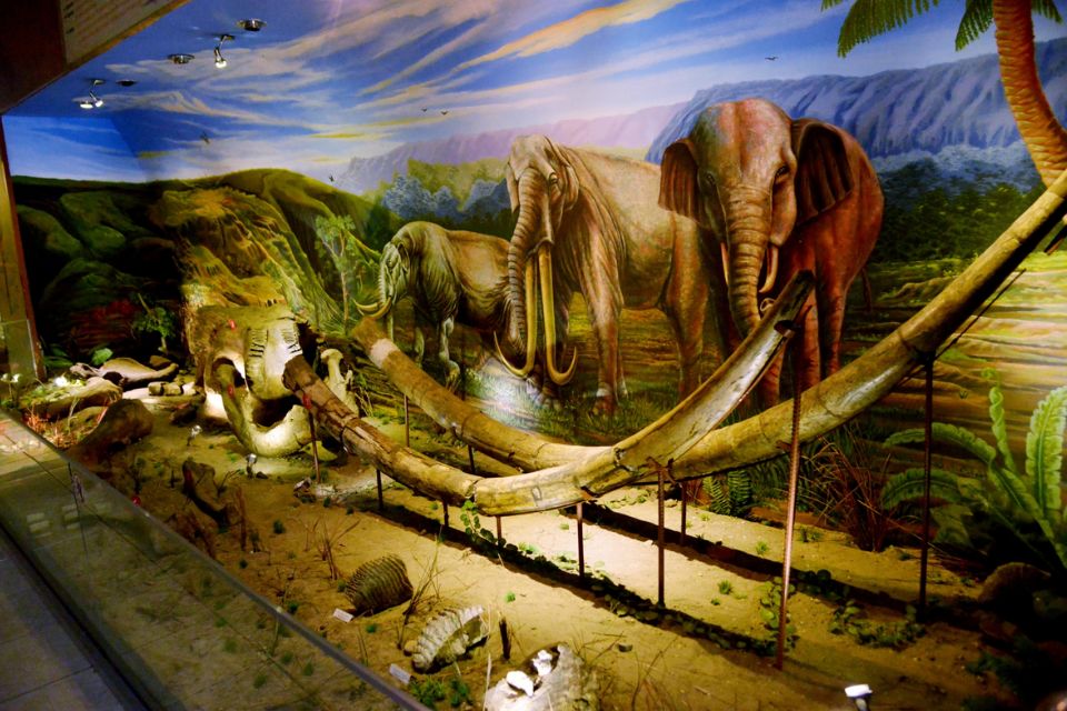 Rekomendasi Museum di Solo dengan Koleksi Langka, Jelajah Seru di Kota Budaya