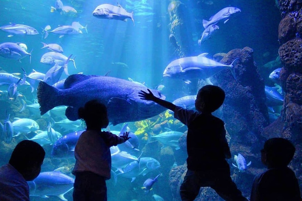 Sea World Ancol
