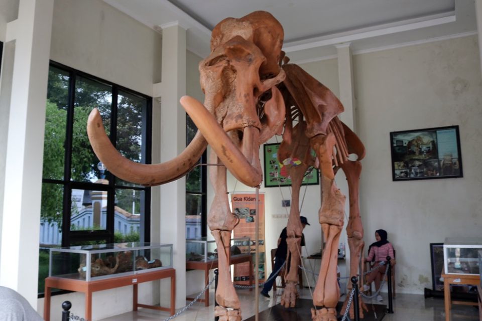 tempat wisata di blora Replika Fosil Gajah Purba Blora