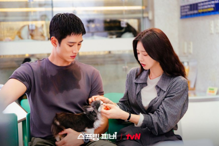 Link Nonton Spring Fever Eps 5-6 Sub Indo dan Spoilernya, Bagaimana Hubungan Yun-bom dan Jae-gyu?