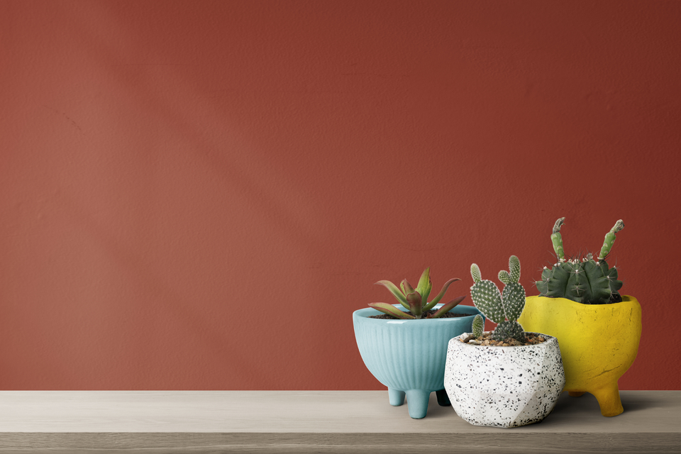 4. Terracotta -Warna interior rumah yang jadi tren di 2026
