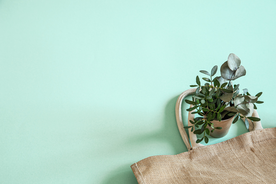 9. Mint Green