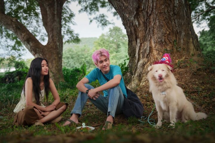 Nonton Film Thailand Gohan (2026): Kisah Seekor Anjing Liar