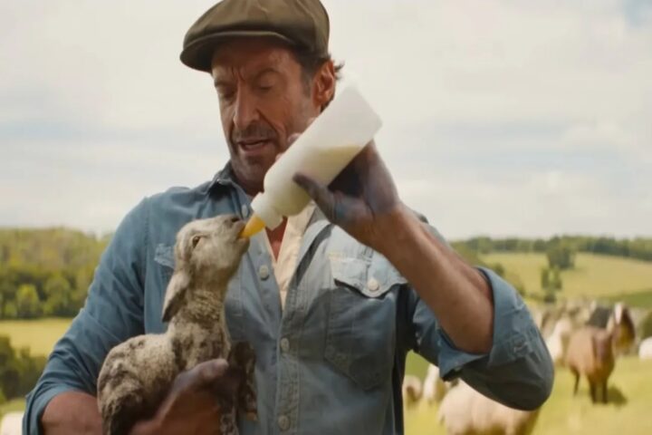 Nonton Film The Sheep Detectives (2026) Dibintangi Hugh Jackman Diadaptasi dari Novel Three Bags