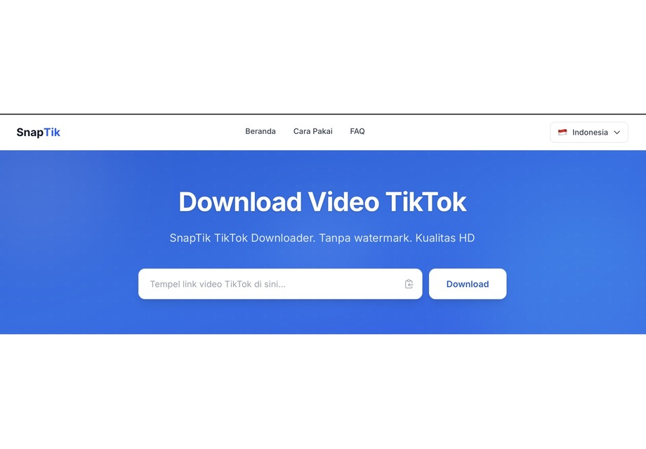 Download Video TikTok Melalui Situs SnapTik