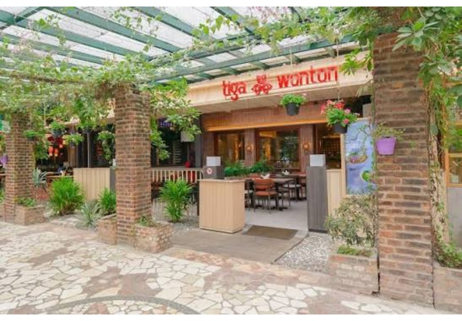 Tiga Wonton