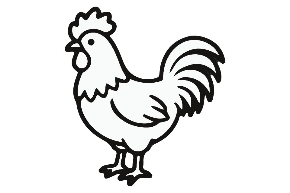 ayam jago