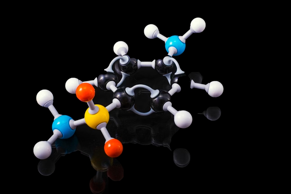contoh soal biologi tentang biokimia beserta jawabannya